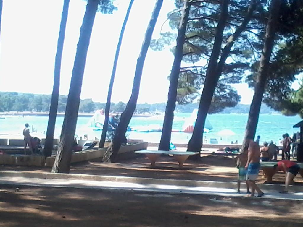 Guesthouse Adria 3*