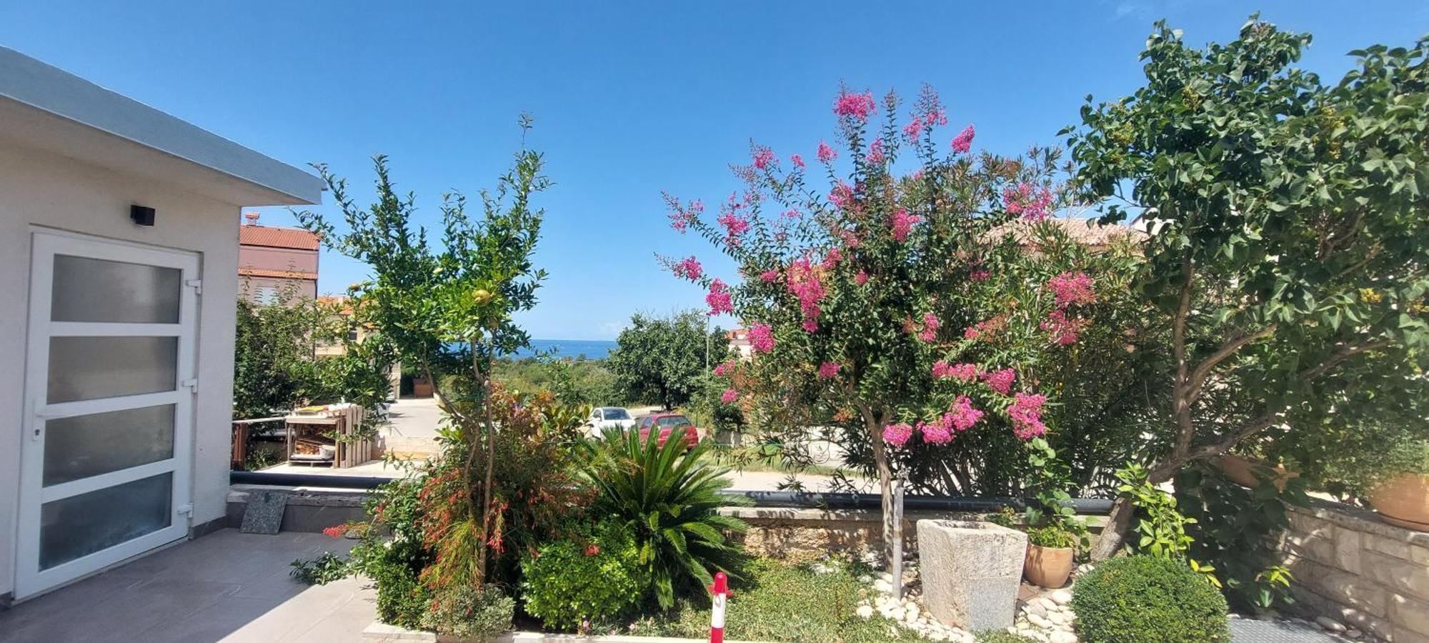 Guesthouse Adria Penzión pre hostí