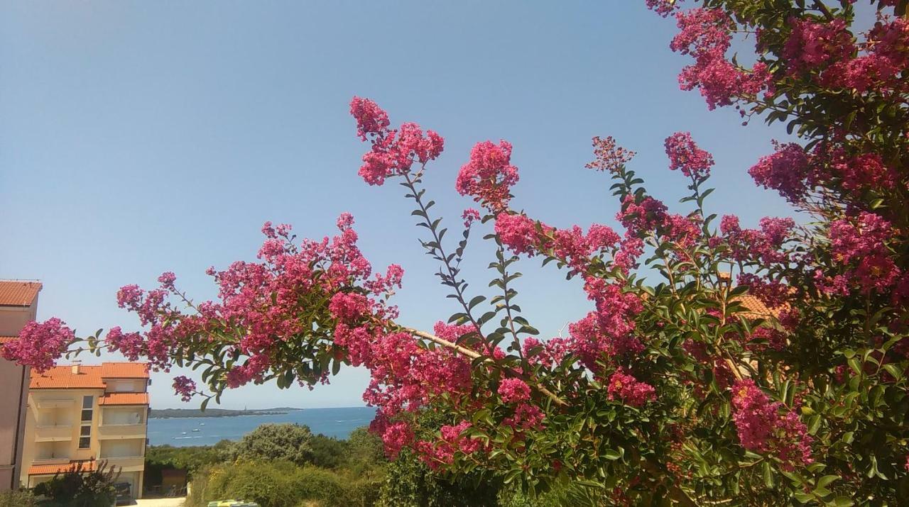 Penzión pre hostí Guesthouse Adria 3*